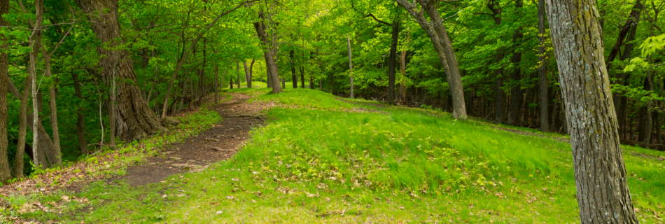 Outdoor area image for thinking of mother earth during funeral and memorial services